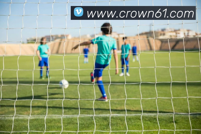 皇冠crown体育平台服务体系